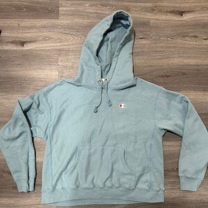 Champion Men's Light Blue Hoodie